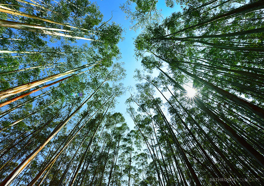 Manufacturing + sustainability