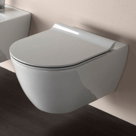 Wall Hung Toilet