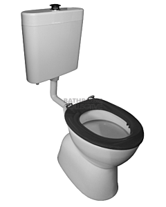 Johnson Suisse - Select Plaza Assist Plastic Disabled Toilet Chrome Button & Blue Seat (S Trap 310)