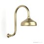 Faucet Strommen Cascade Gooseneck Showers, Raw Brushed Brass 30575-91