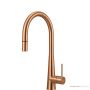 Oliveri Essente 251mm Pull Out Goose Neck Sink Mixer