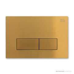 Expella Ultraslim Flush Plate Gold PVD 2325507
