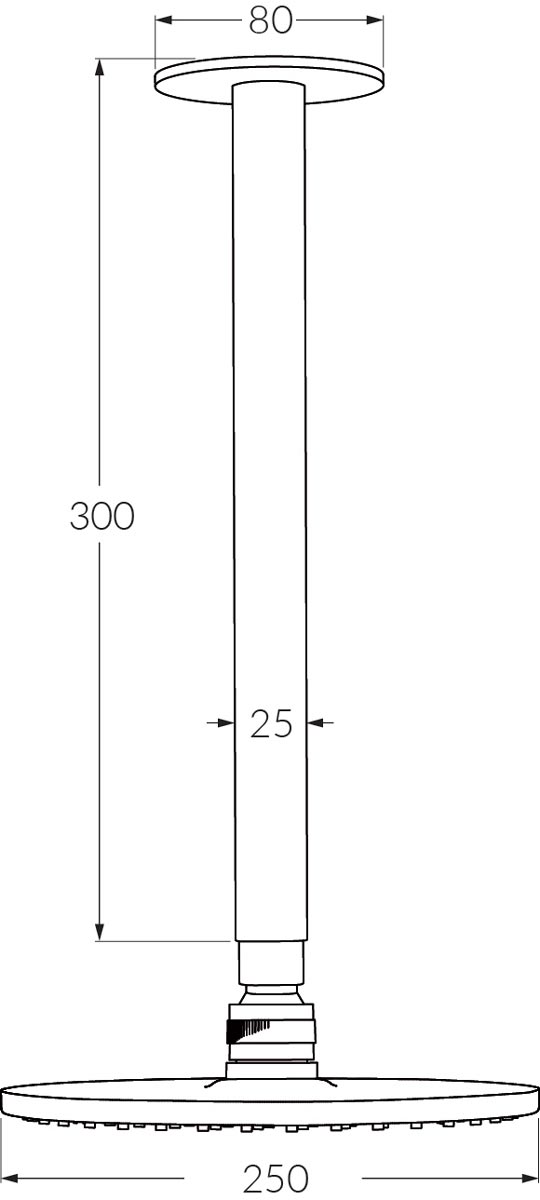 Sussex Vd Vertical Shower Arm 300mm With 250 Head