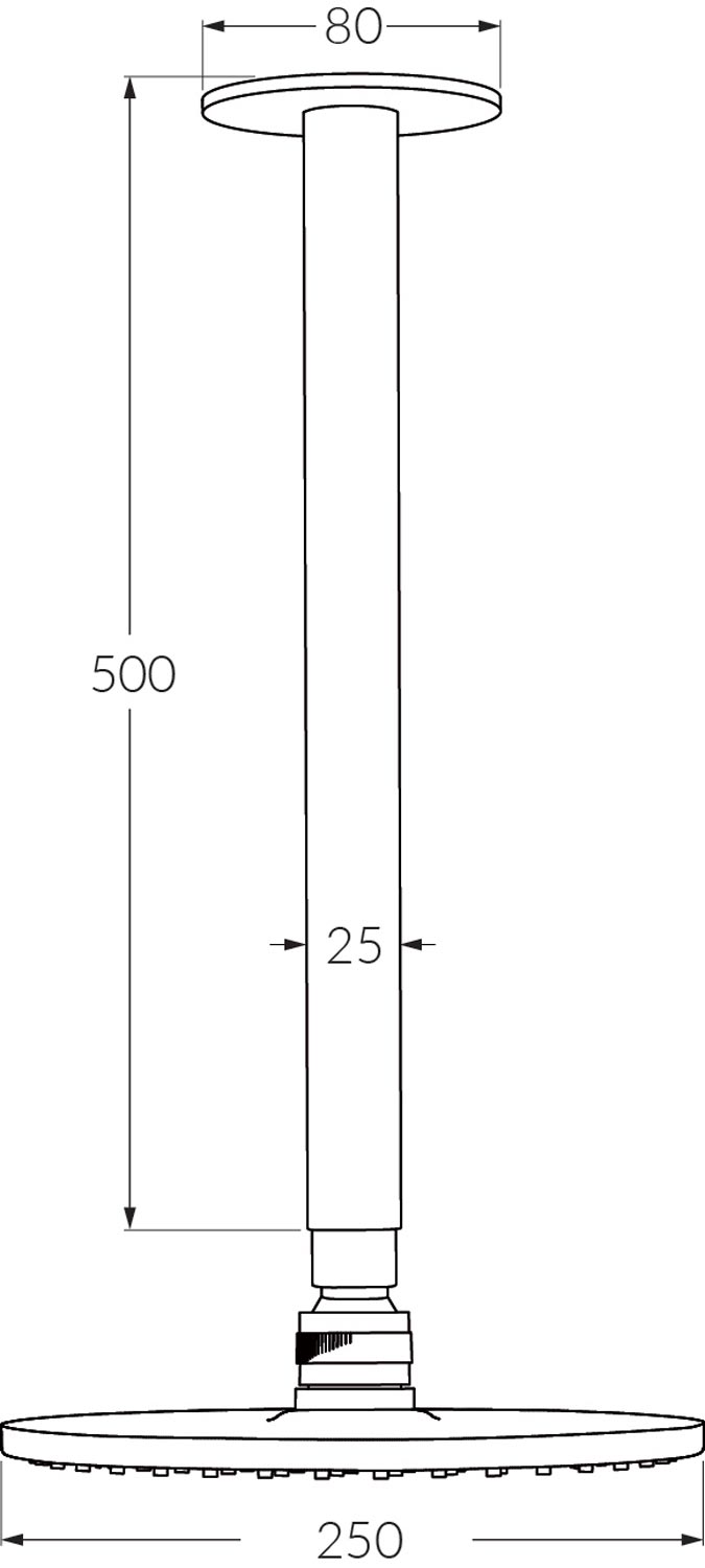 Sussex Vd Vertical Shower Arm 500mm With 250 Head